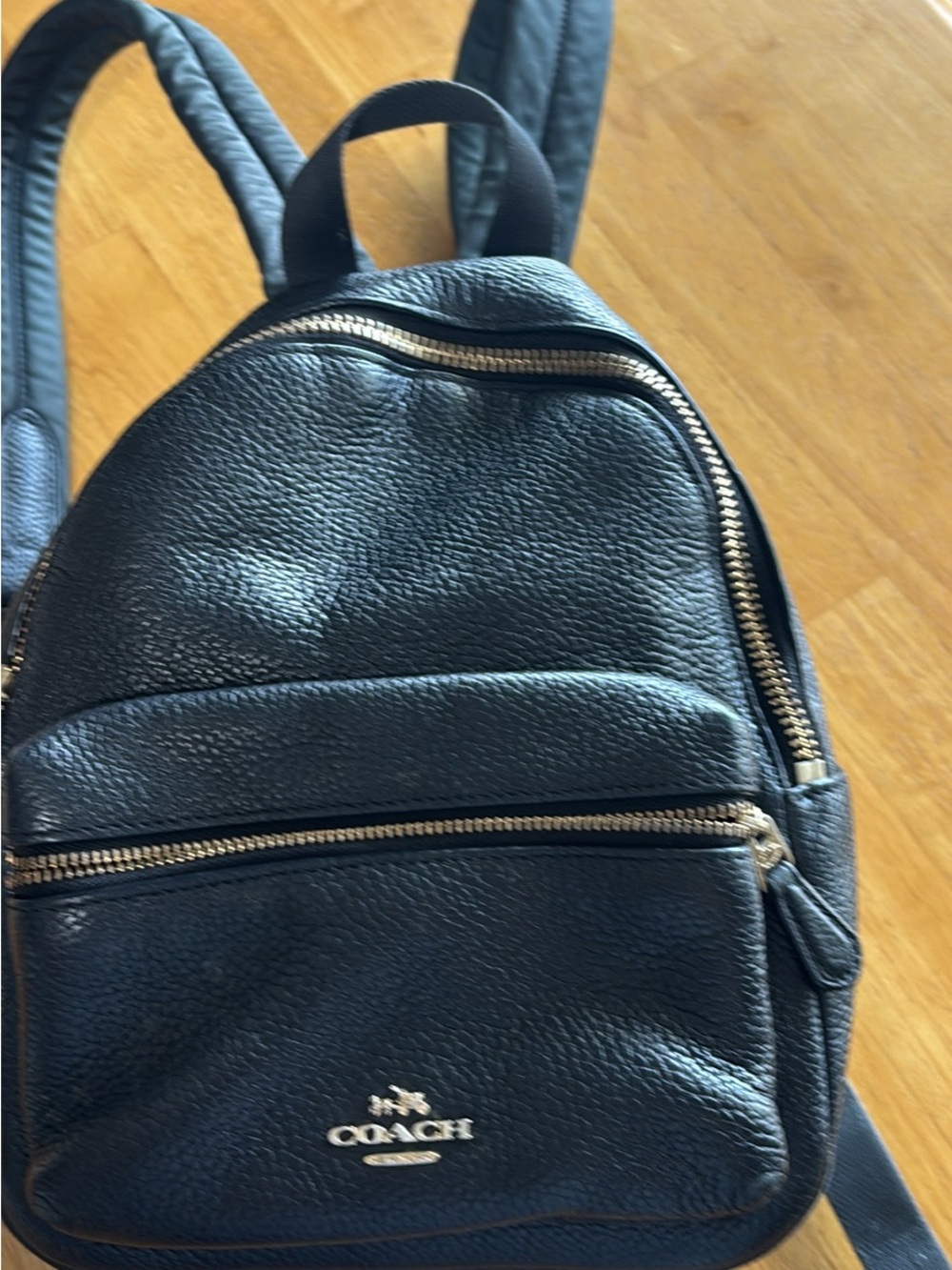 COACH Pebbled Leather Mini Backpack in Black